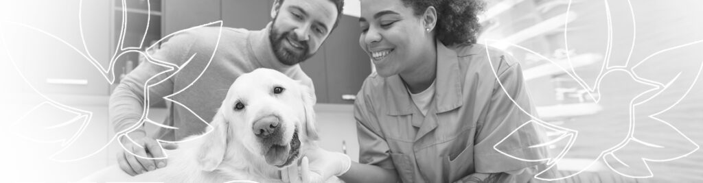 especialização endocanabinologia