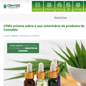 Cannabis medicinal